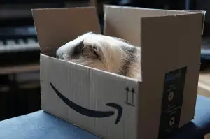 Amazon Prime Cz
